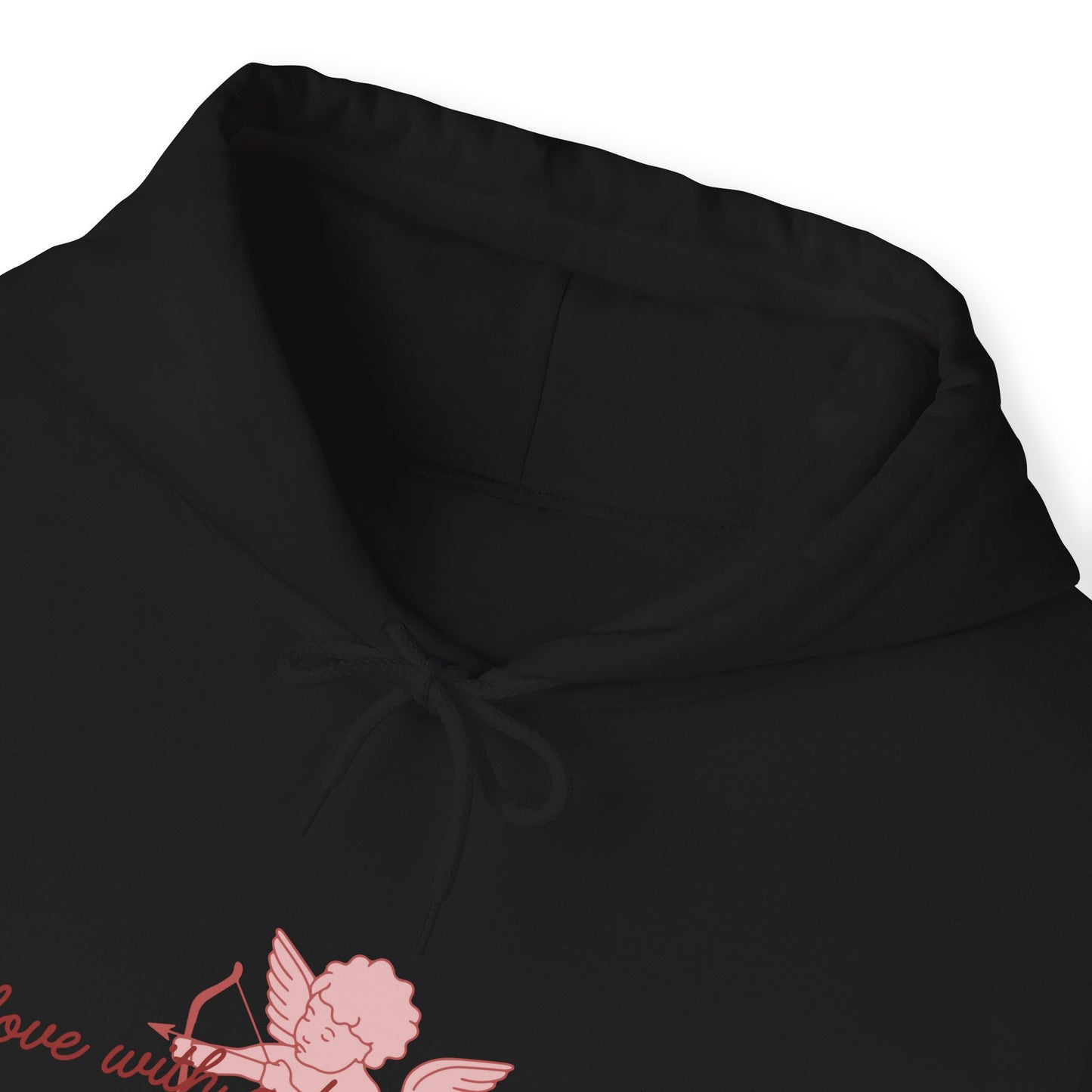 In Love With A Fictional Character Hoodie